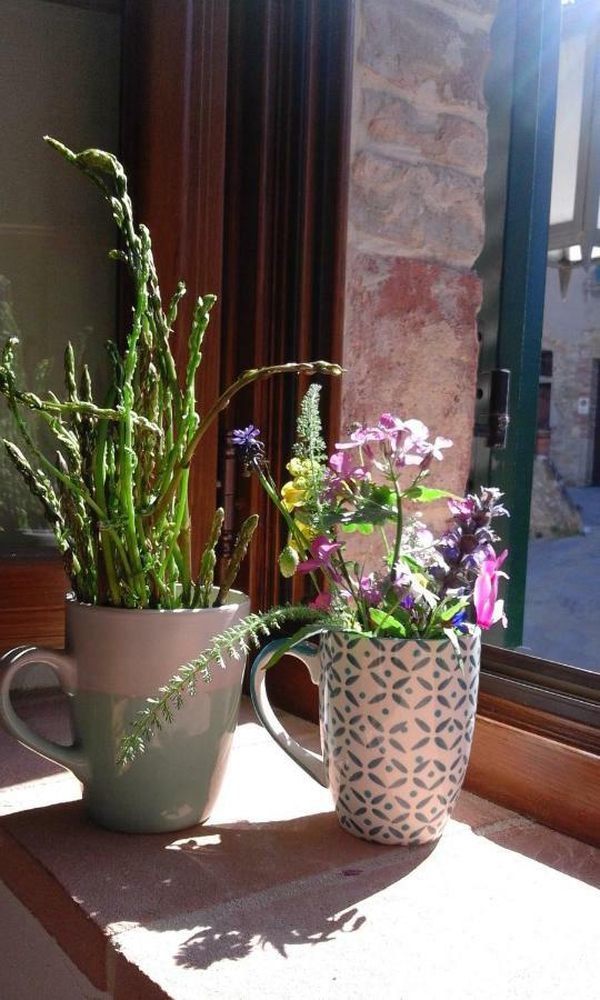 Casa Vacanze "Nonna Vela" Petroio ภายนอก รูปภาพ