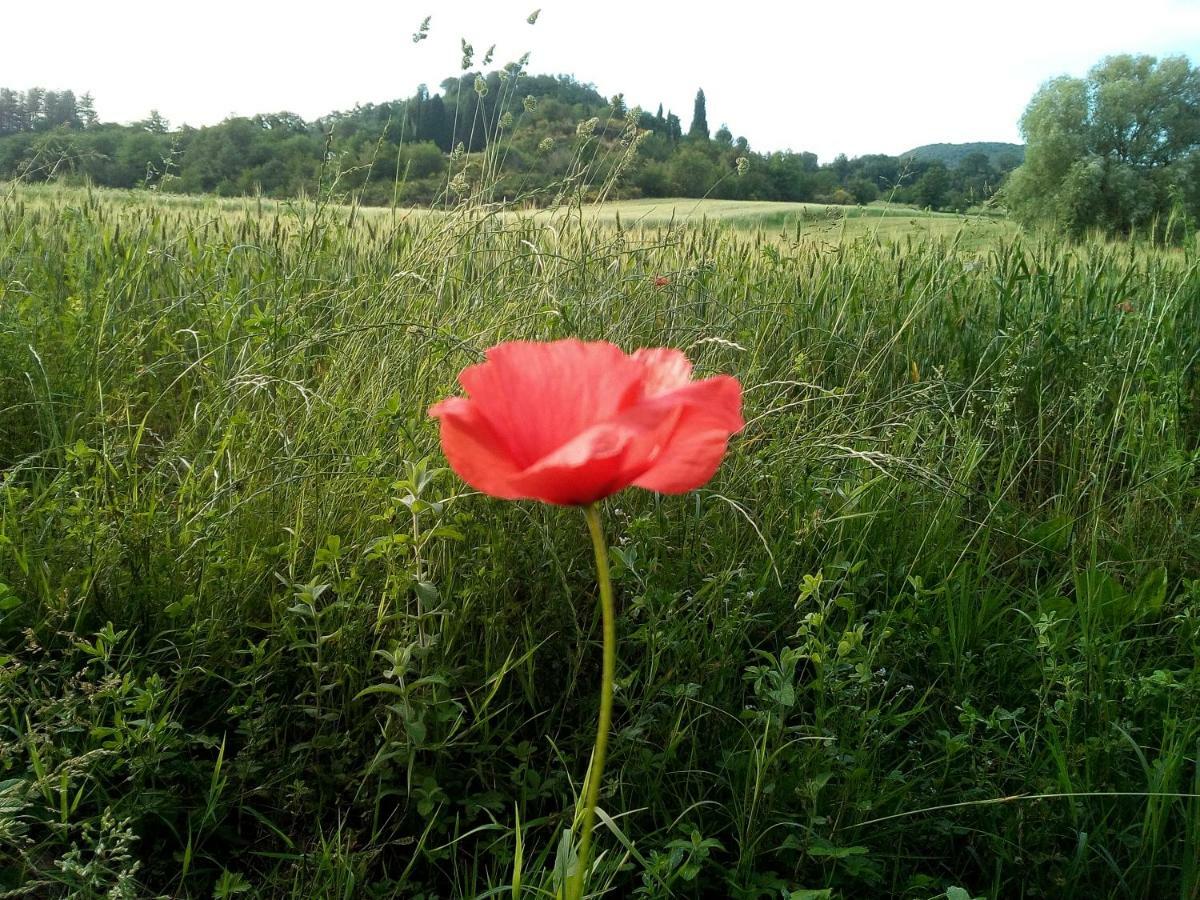 Casa Vacanze "Nonna Vela" Petroio ภายนอก รูปภาพ